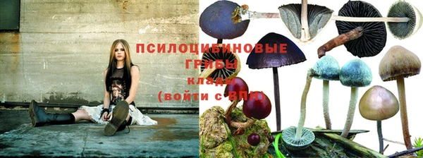 трава Зеленодольск