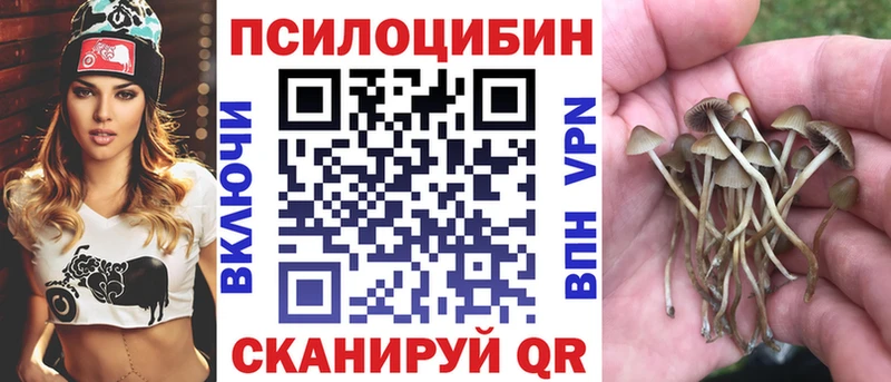 Купить Шахты Галлюциногенные грибы GOLDEN TEACHER